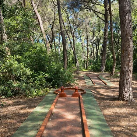La Bulle D'azur, Nature & A Pied Six-Fours-les-Plages